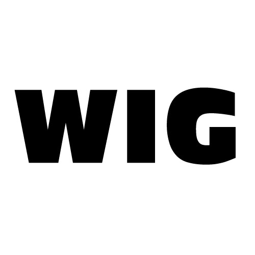 Dingbats Puzzle - Whatzit #8 - WIG