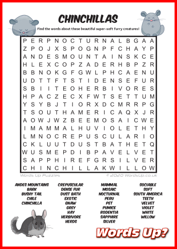 Chinchilla Word Search Puzzle #65